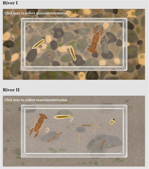 why are macroinvertebrates used to analyze water quality